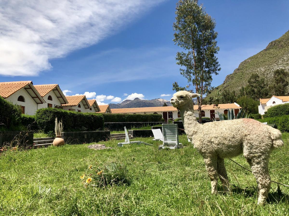 Casona Plaza Ecolodge Colca Yanque Exterior photo